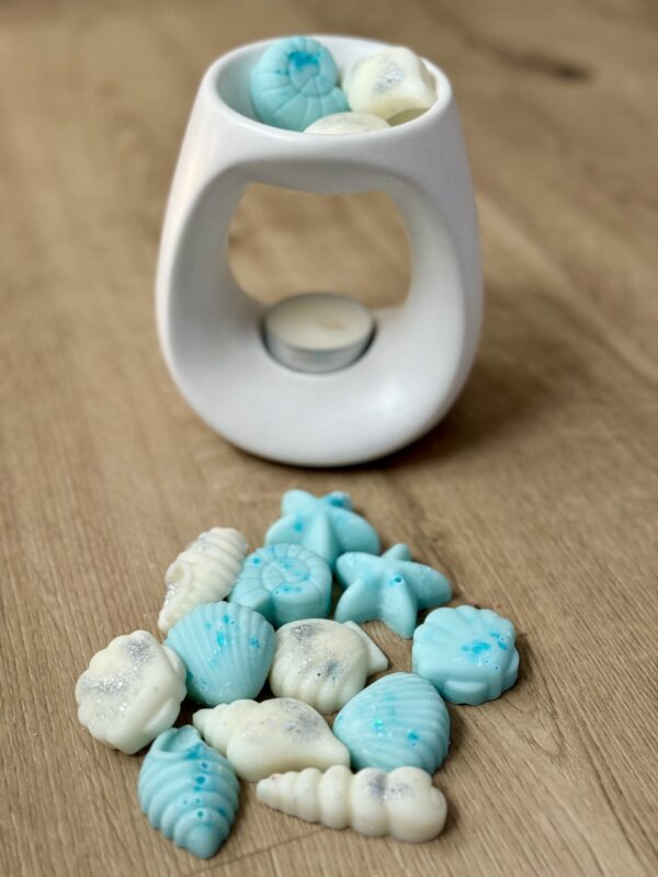 Conchitas con olor a brisa marina 🐚 - Imagen 2