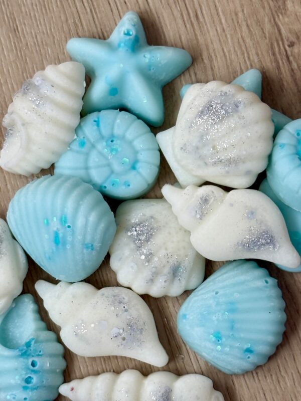 Conchitas con olor a brisa marina 🐚