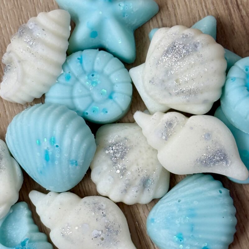 Conchitas con olor a brisa marina 🐚